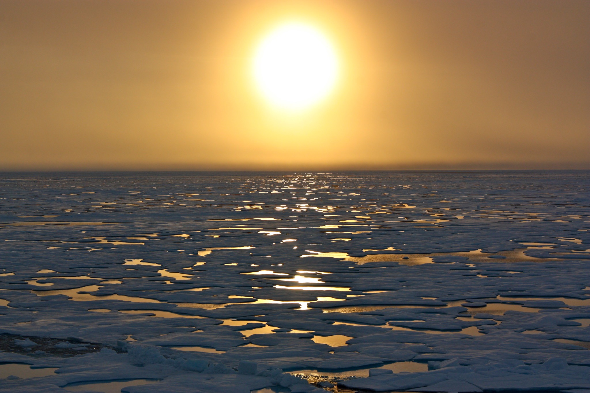 Экологичная Арктика: Запад стремится к абсолютизации зеленого дискурса
