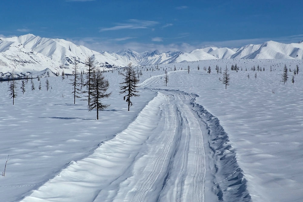 Квоты на арктический туризм: на форуме северных территорий предложили законодательно регулировать турпоток в Арктику