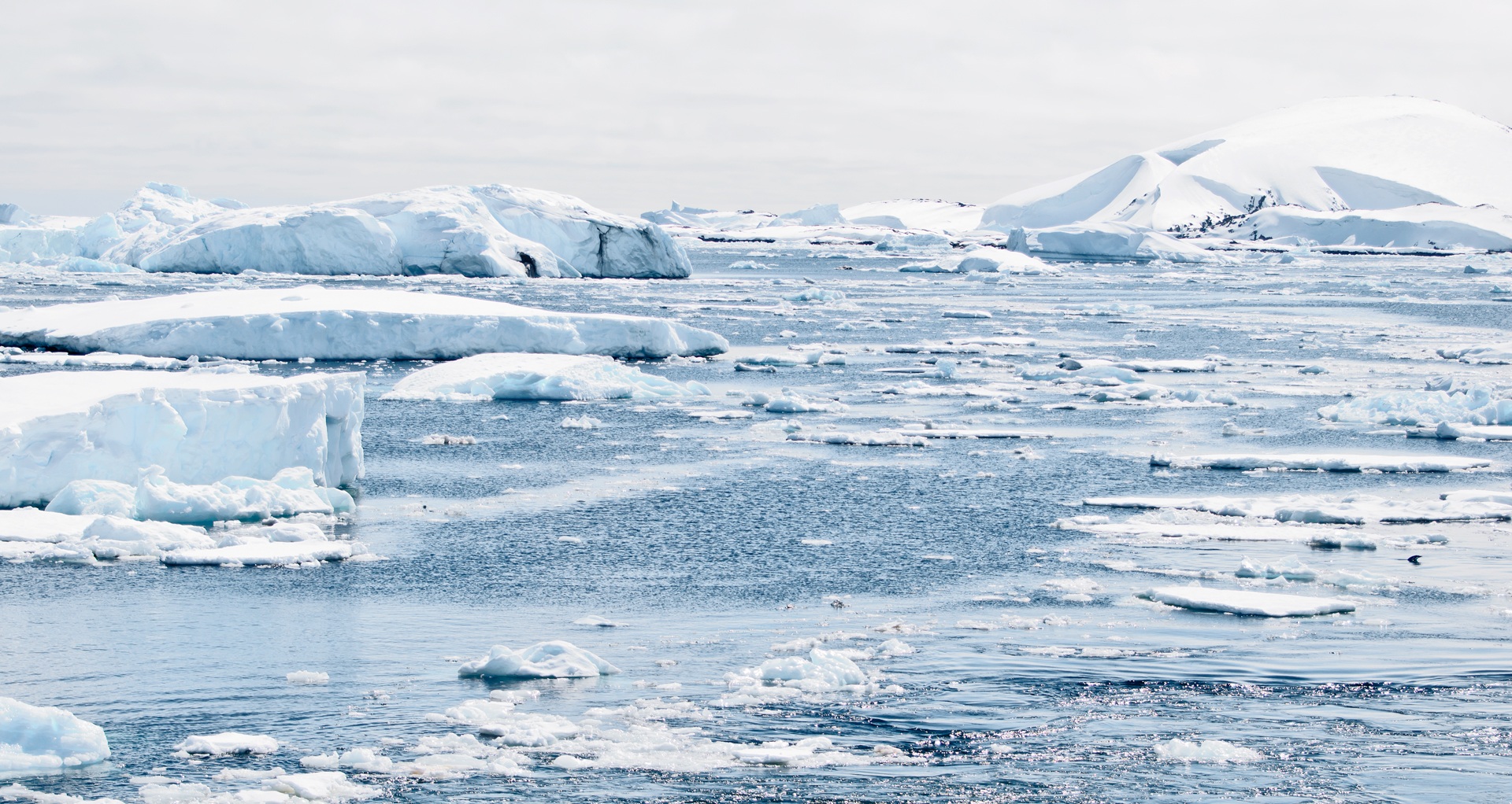 Водные ресурсы должны стать основой развития Арктики