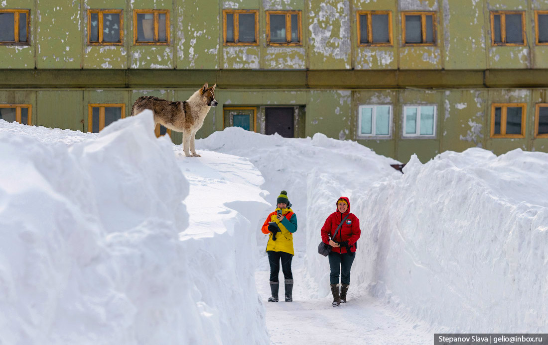 По данным Минвостокразвития, турпоток в Арктику в 2025 году составит 1,5 млн человек