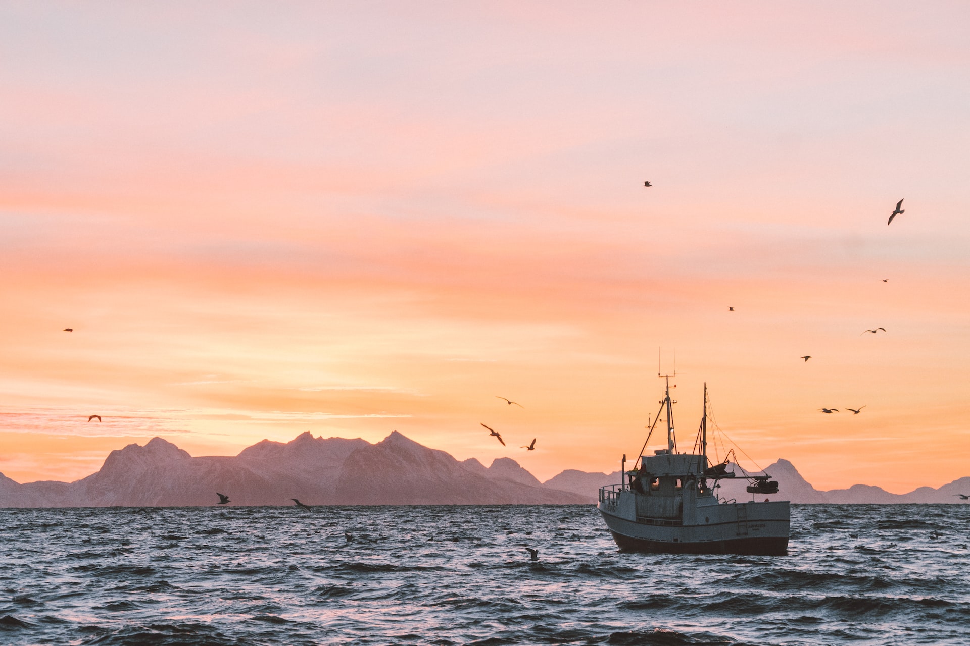 Экспорт морепродуктов принёс Норвегии 8,4 миллиарда долларов, часть выгоды съела инфляция
