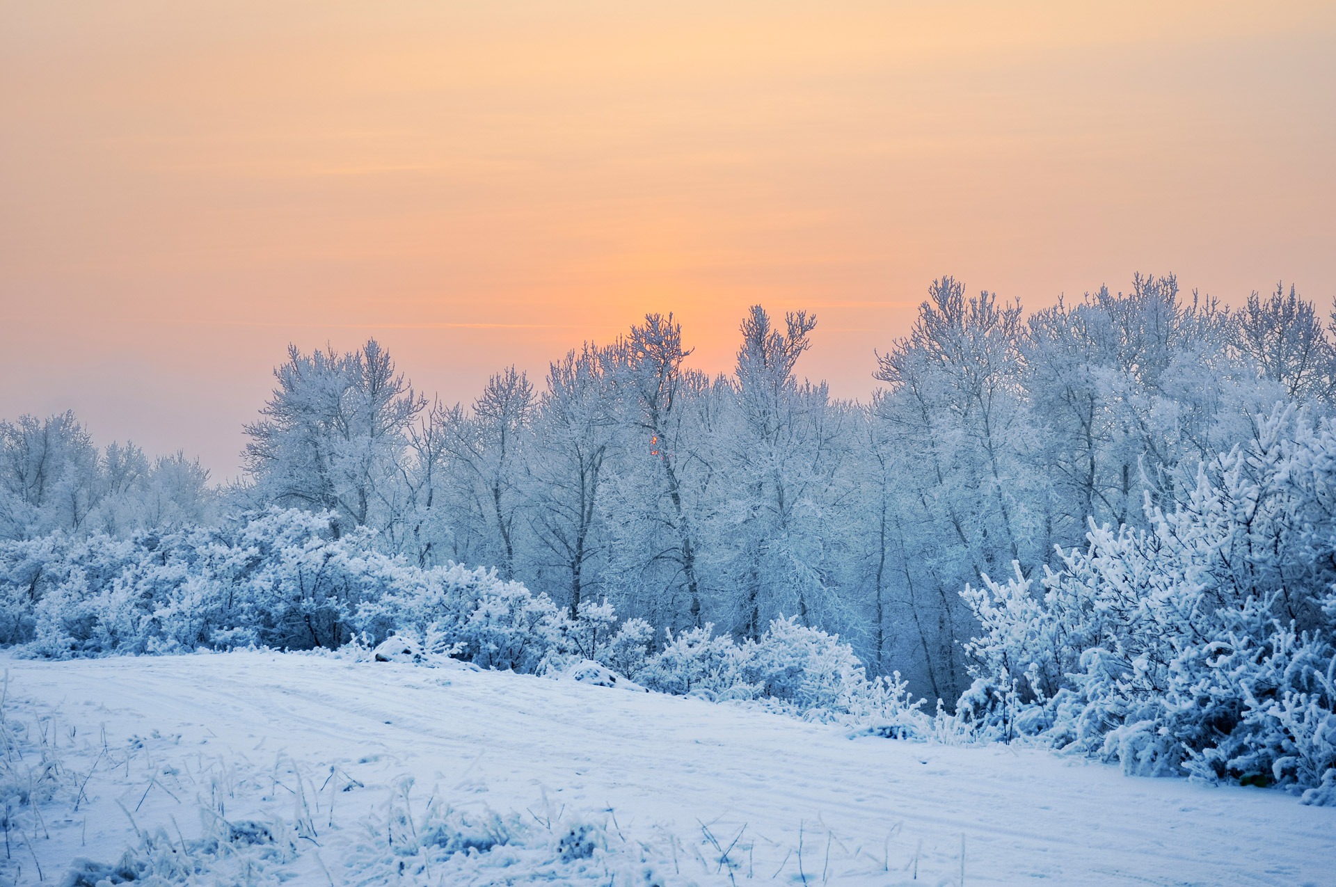 Winter day. Зима пейзаж. Снежная зима. Зима Мороз. Декабрь природа.