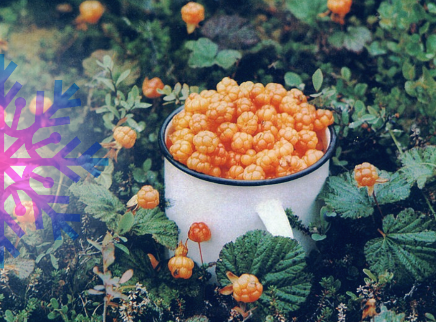 Как ели, пили и веселились на Русском Севере