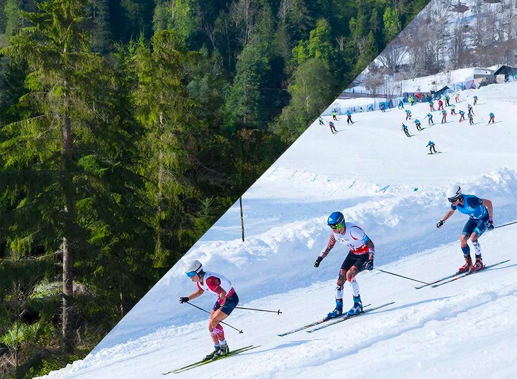 Ямал и Югра лидируют в арктических соревнованиях: в экоакции «БумБатл» и на V Всероссийских Арктических играх