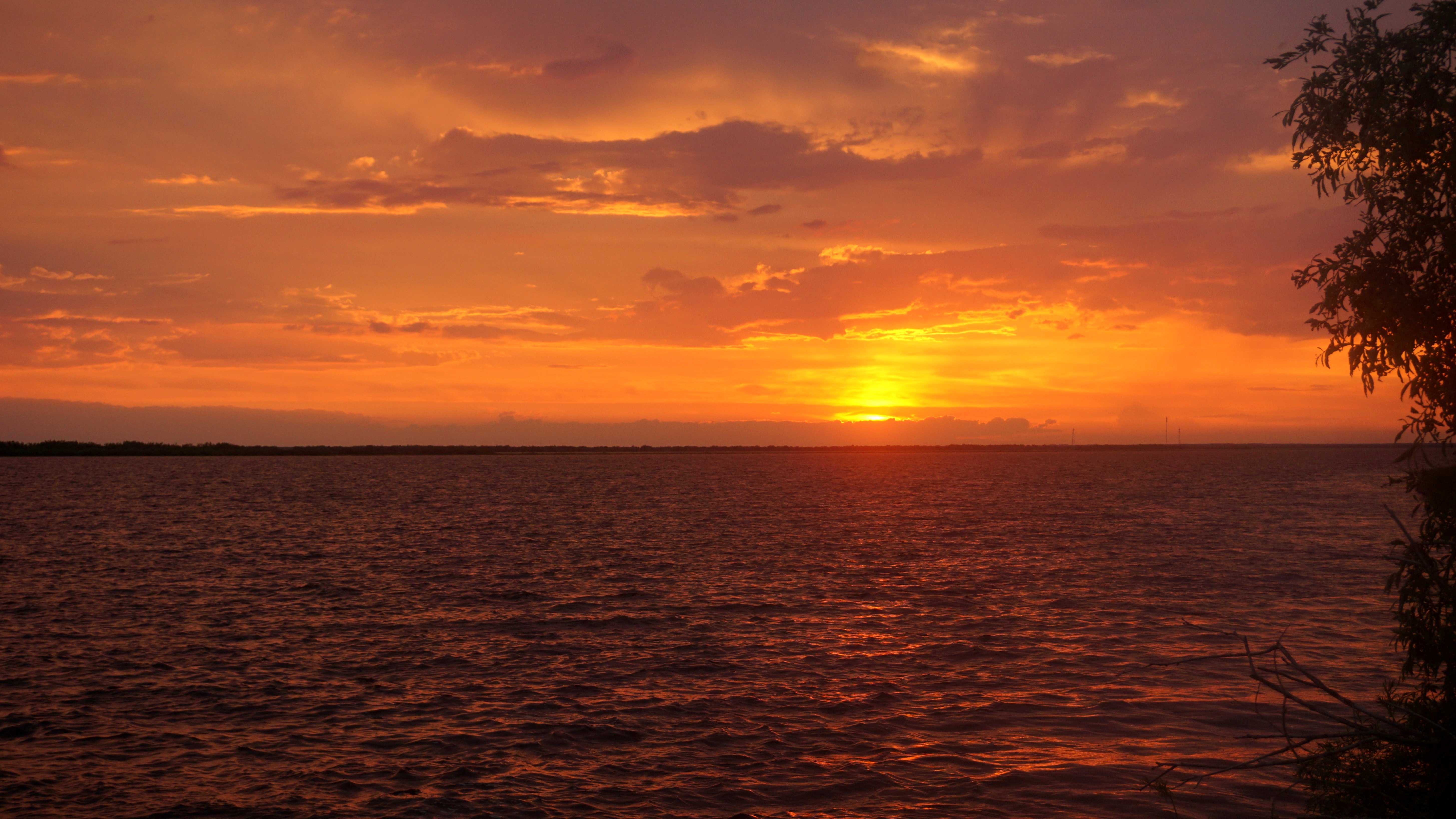 Ихтиологи навестили крупнейшее нерестилище лосося в Тазовском бассейне