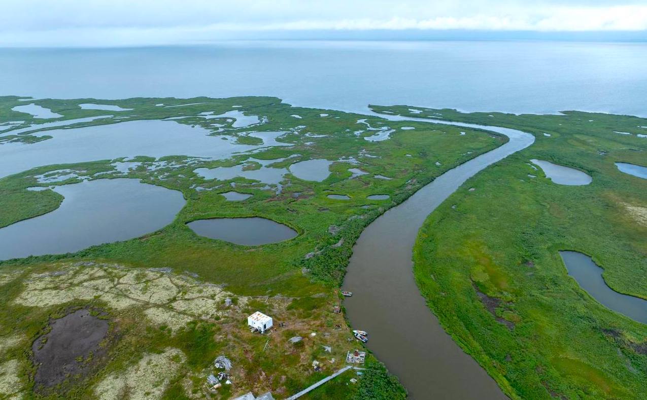 «Арктика притягивает: свобода, простор – расправить крылья и полететь»: заповедник «Ненецкий» снял о себе фильм