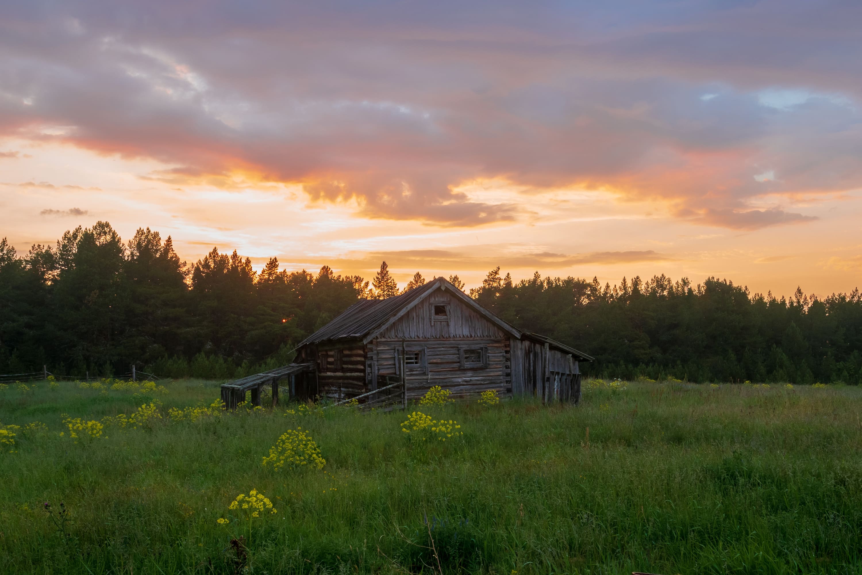 Дело о смерти смотрителя и маячной команды на острове Большой Жужмуй 