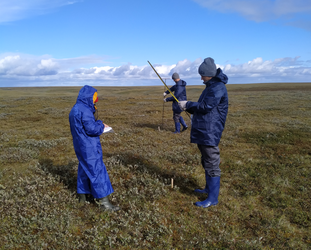 Тюменские ученые расширили сеть для геокриологических наблюдений в Арктике