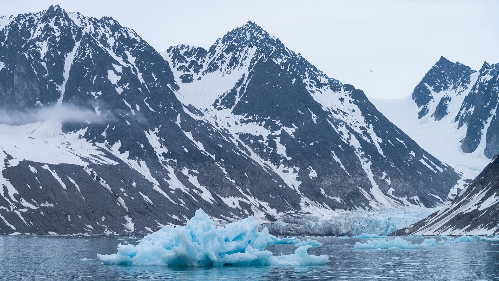 Арктика сегодня: водоросли, шлюпка и рекордное похолодание