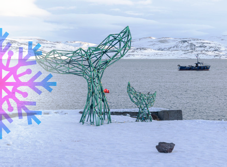 Териберка: доступная Арктика