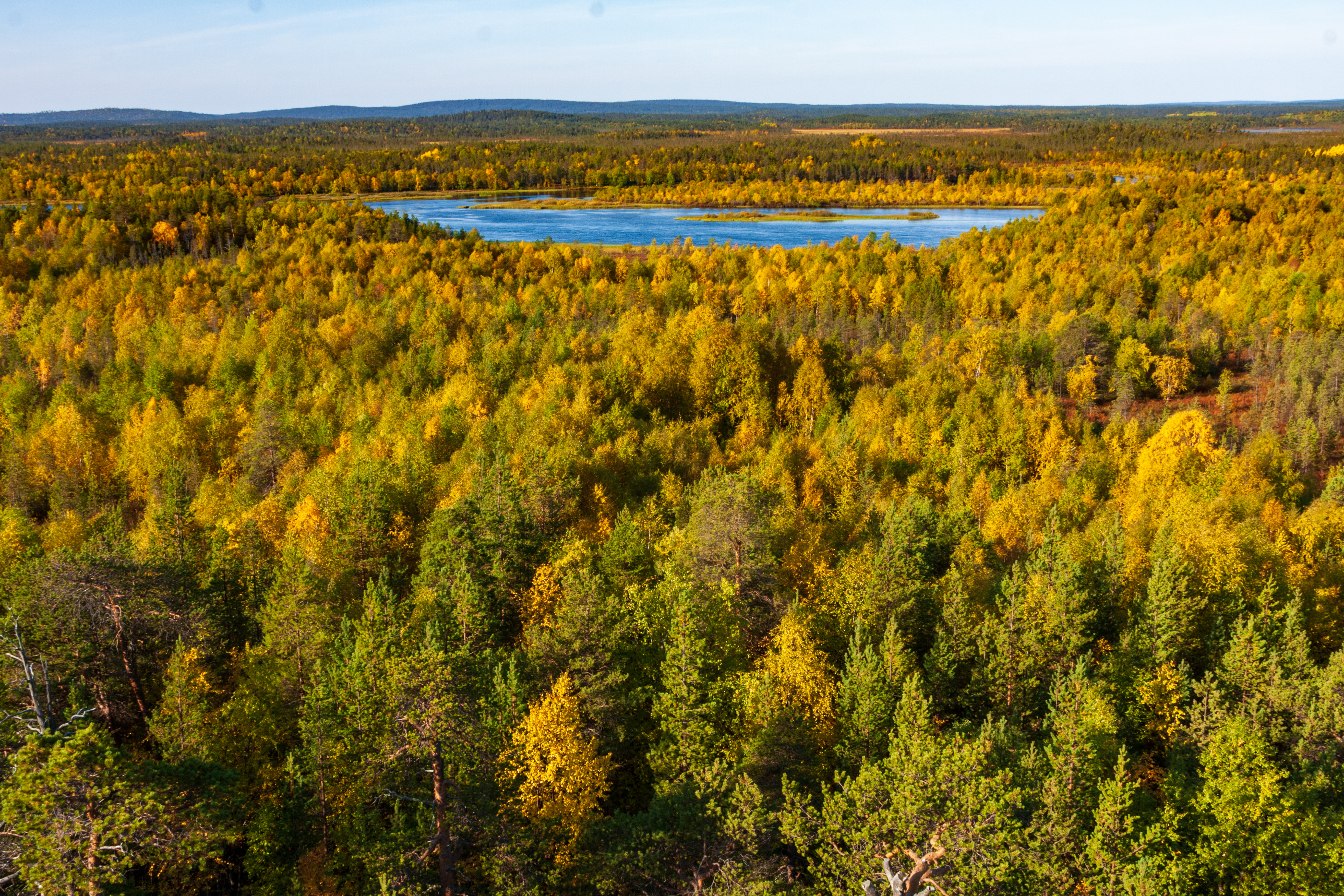 Об экологических проблемах Баренц-региона расскажут на Днях российско-норвежского приграничного сотрудничества