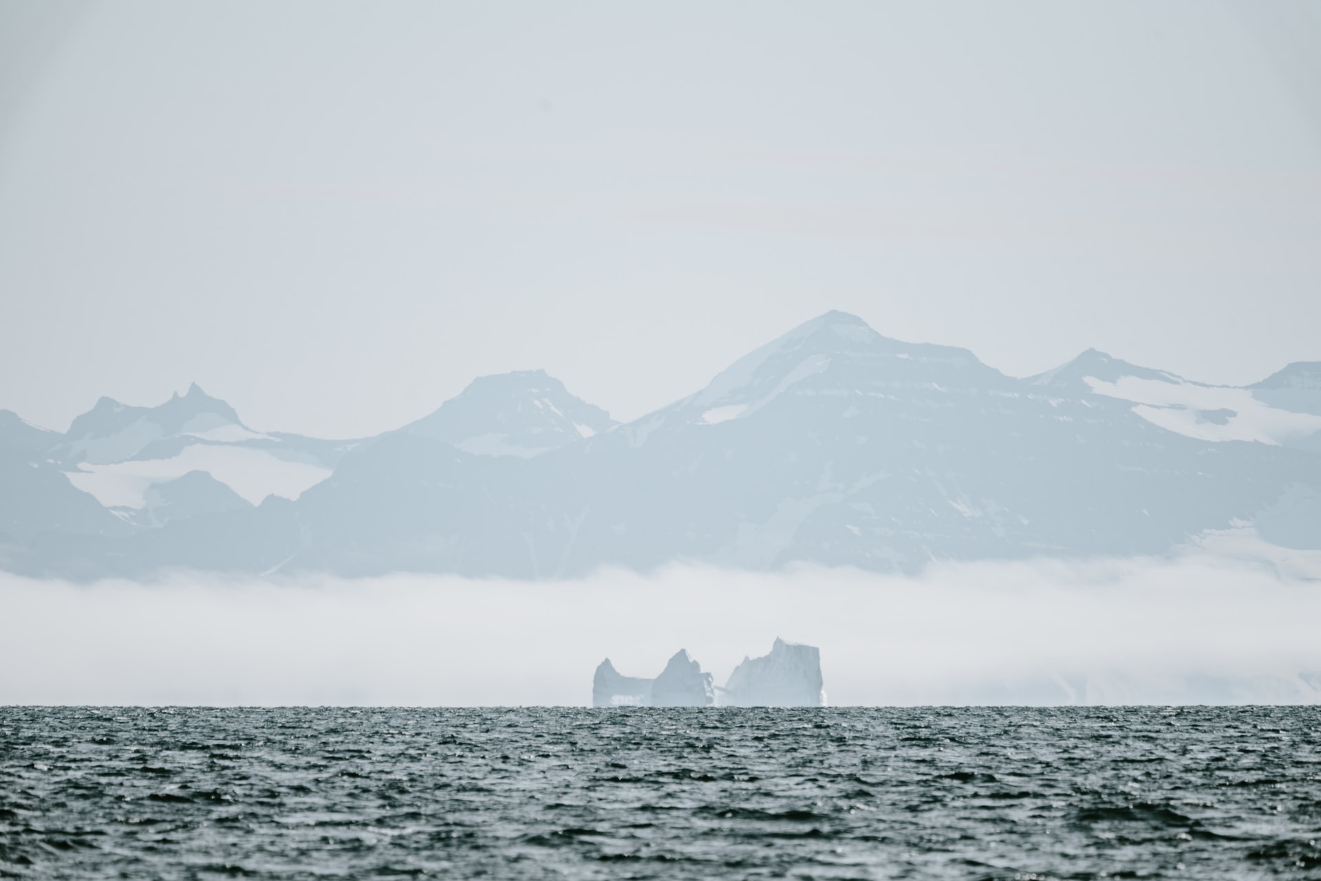 Бороться с незаконным промыслом в Арктике возможно только с помощью единого правового режима