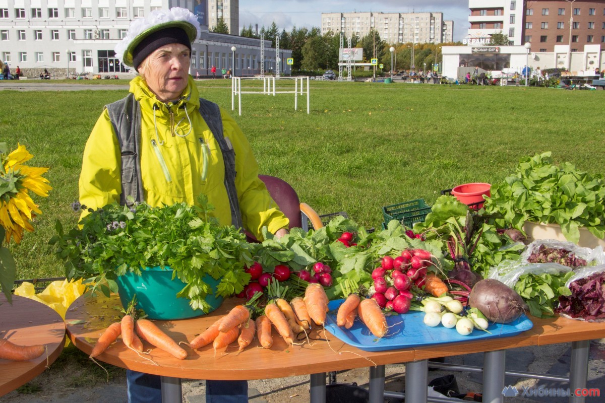 Праздник урожая состоялся в Оленегорске