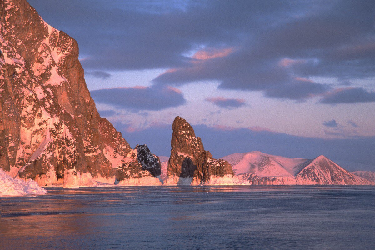 Арктика сегодня: заявки инвесторов, рыба и вечная мерзлота