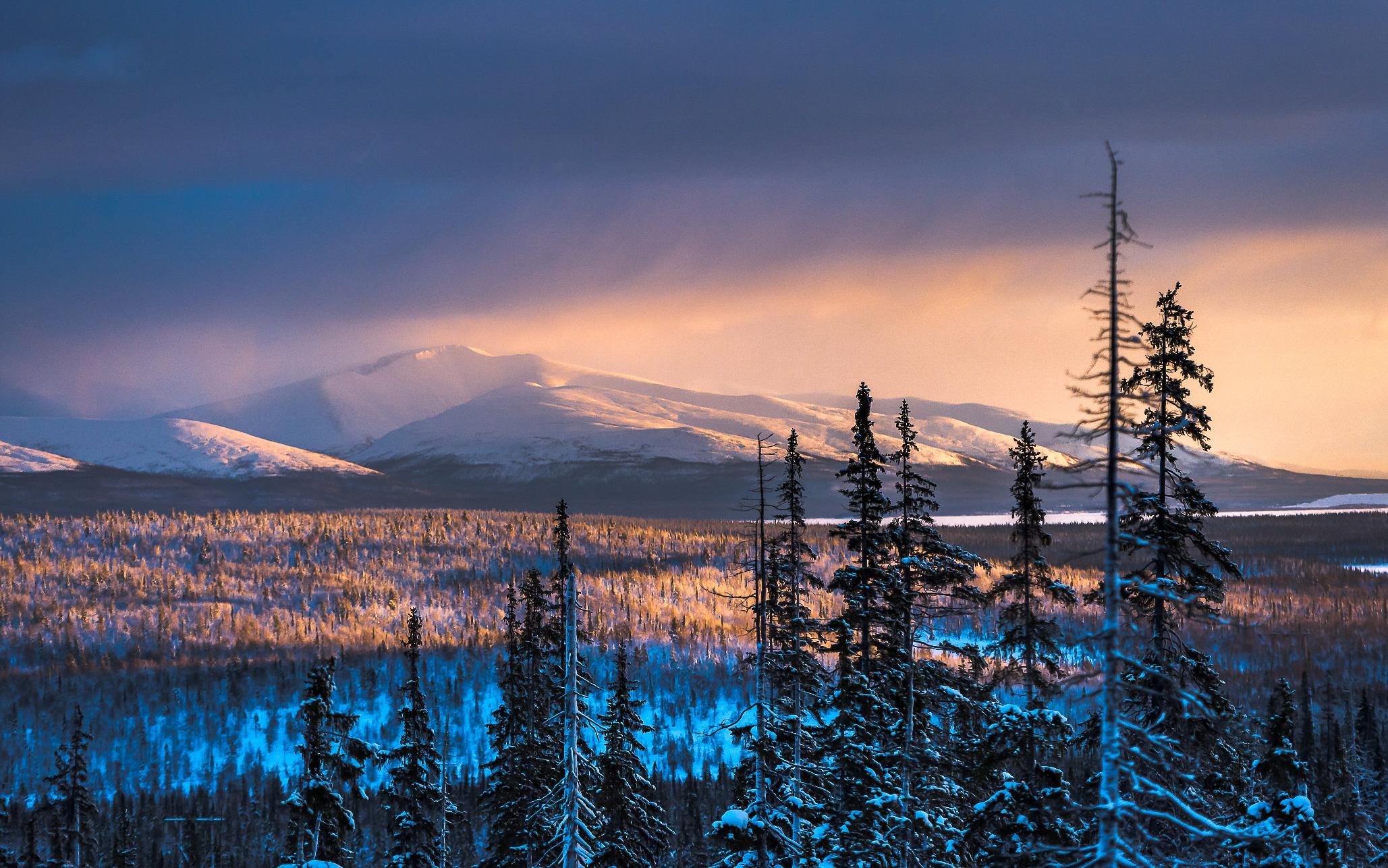 Северный вид. Природа Кольского полуострова. Север Кольского полуострова. Северная природа Кольский полуостров. Северный пейзаж Кольский полуостров.