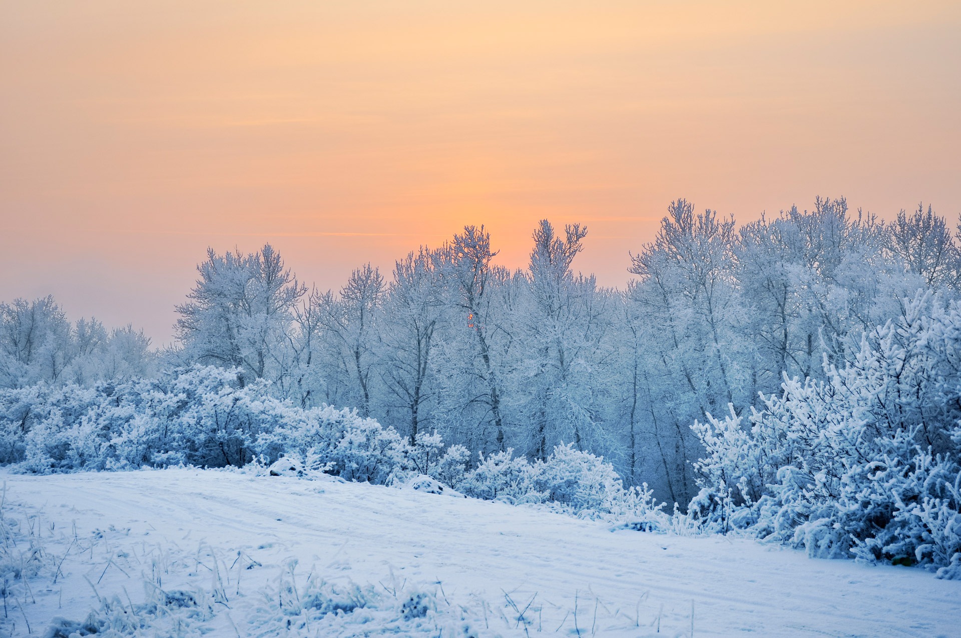 В Якутии растет число зимников