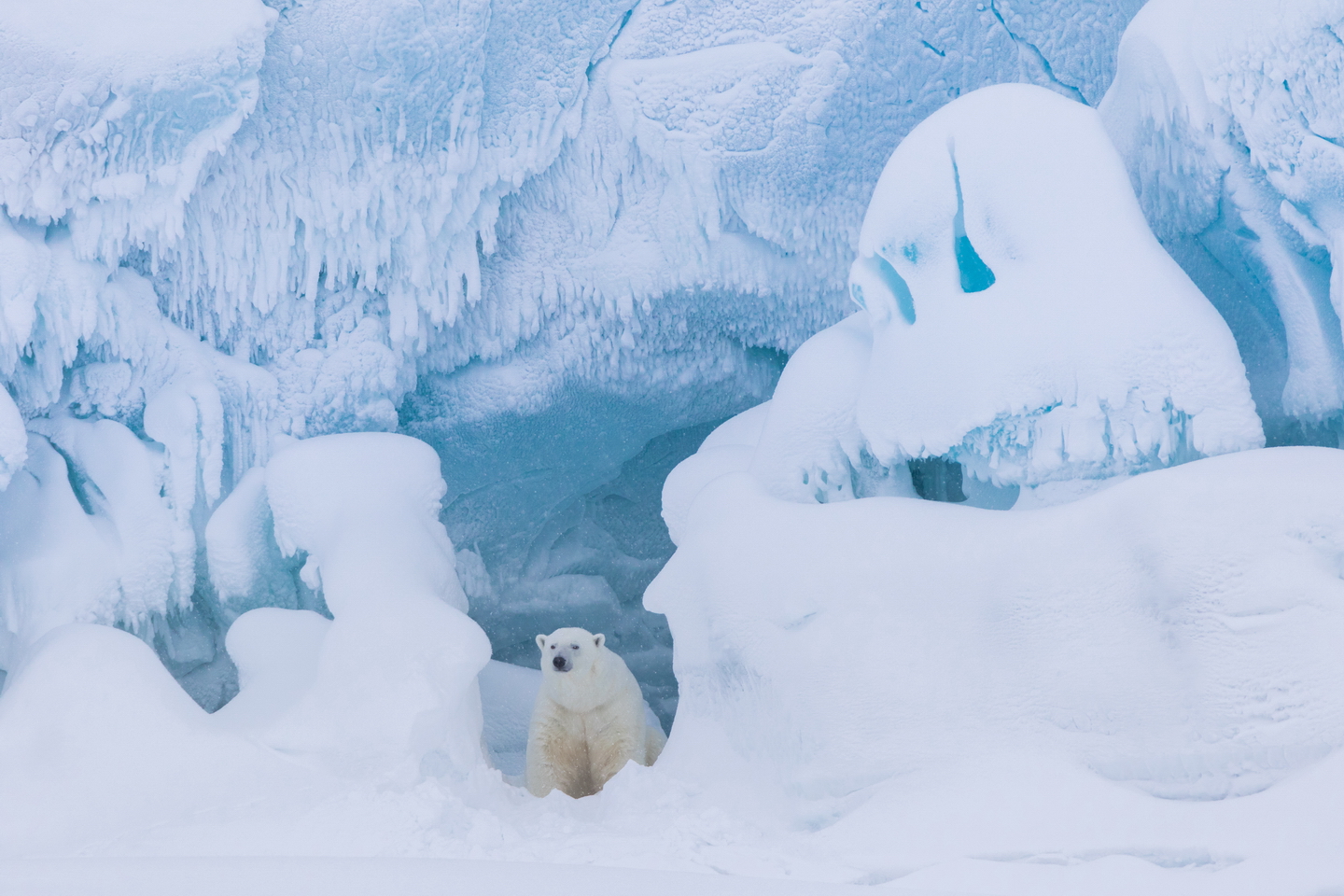 Арктика за неделю: важнейшие темы арктической повестки с 28 ноября по 2 декабря