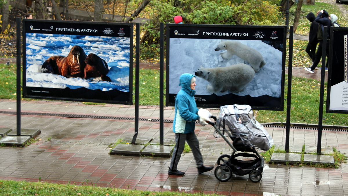 В Архангельске открылась выставка «Притяжение Арктики»