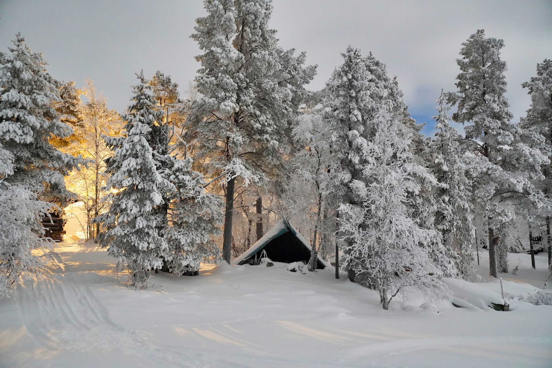 Среди жительниц Финляндии растёт популярность зимних походов