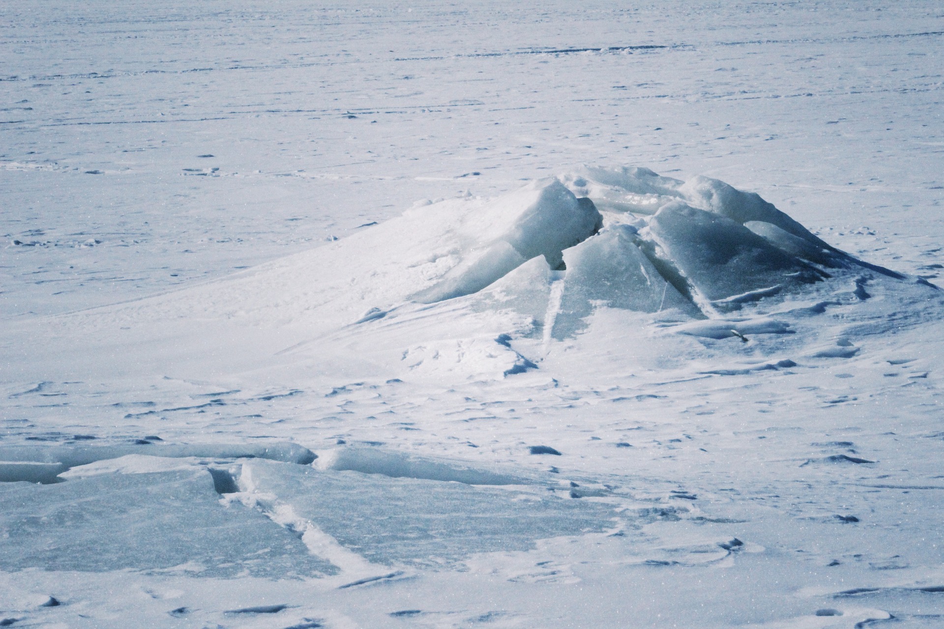 Новая система для обработки данных в Арктике представлена в ТюмГУ