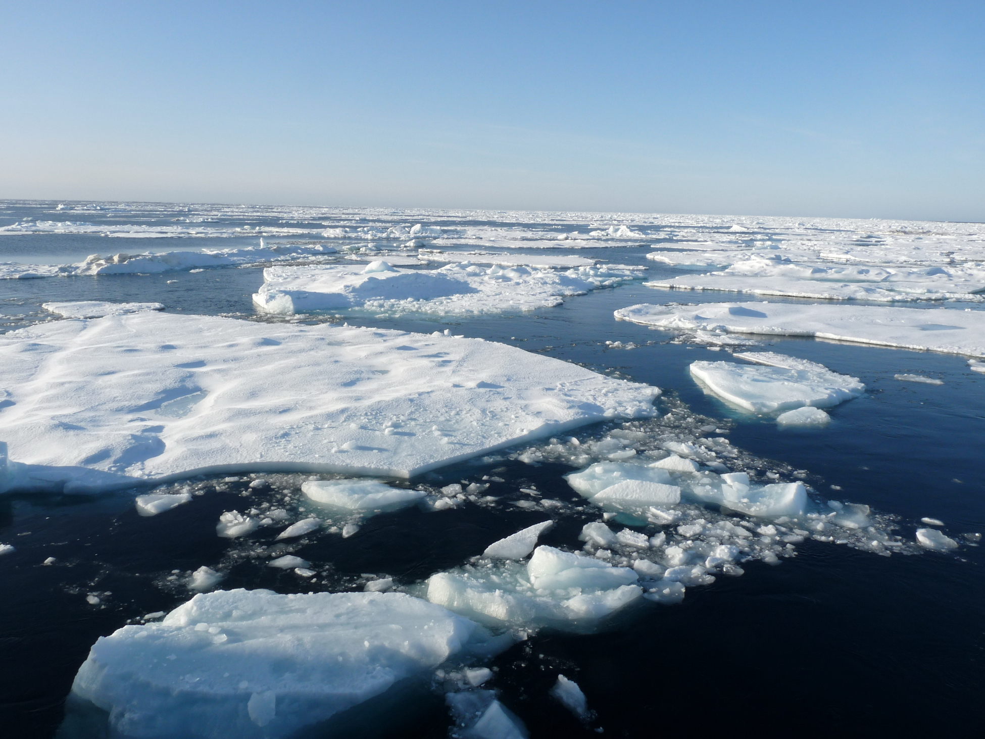 Морской лёд в проливе Барроу становится непредсказуемым для зверобоев