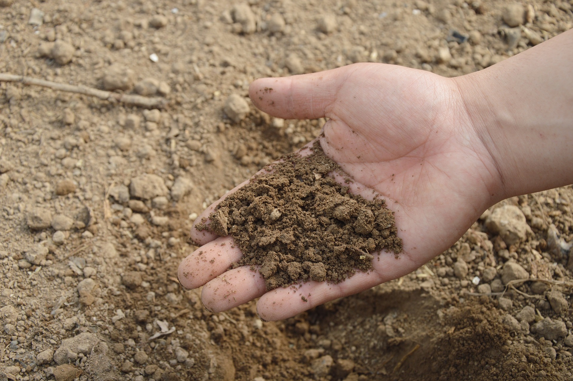 На Ямале взяли образцы почвы, чтобы оценить вред урбанизации