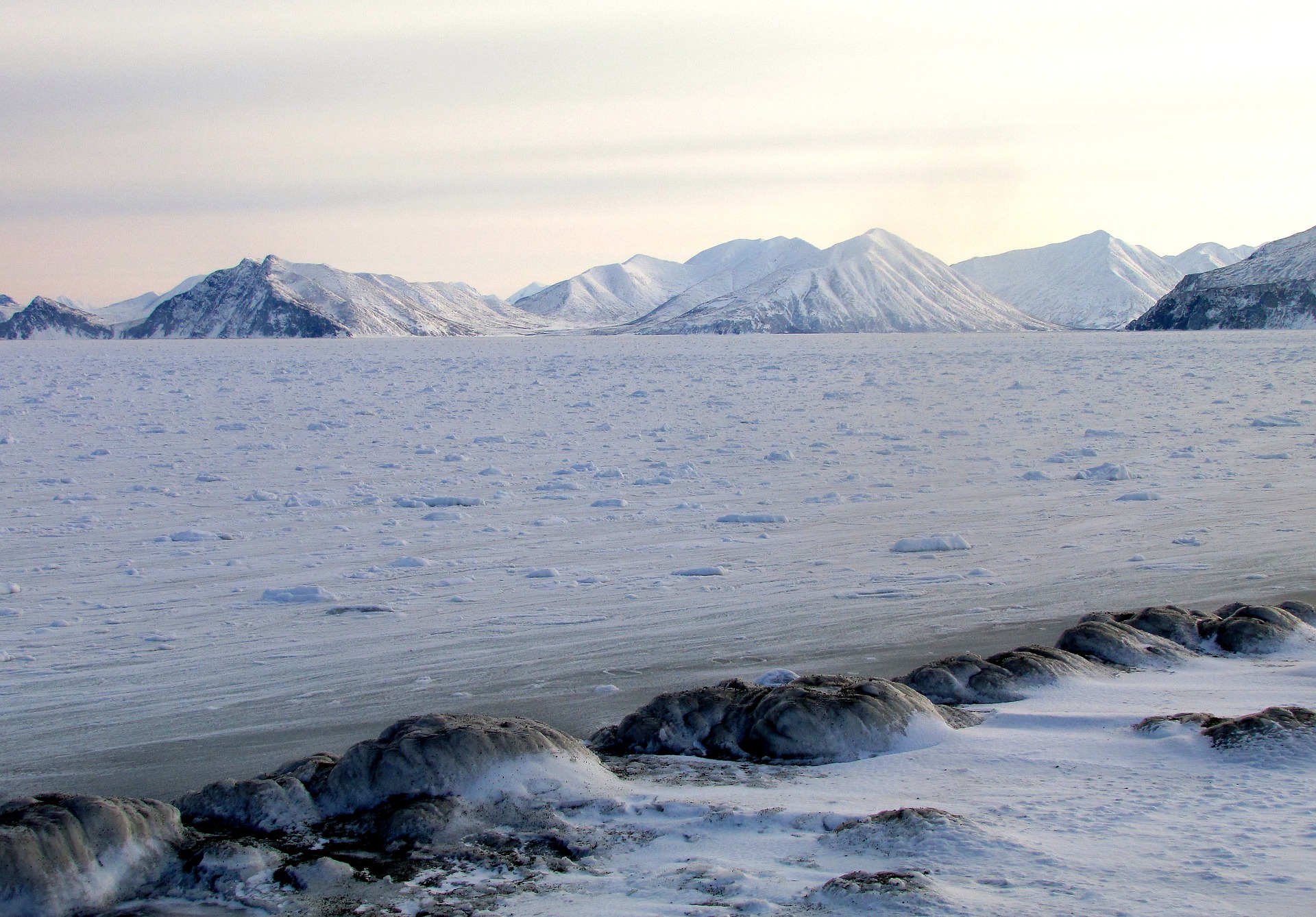 Добыча нефти в Арктике достигнет пика в 2020-х гг.