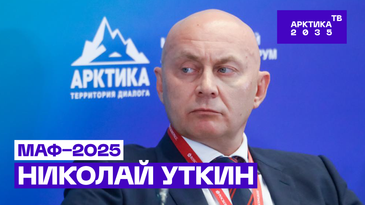 Как российский бизнес работает в Арктике под санкционным давлением Как российский бизнес работает в Арктике под санкционным давлением
