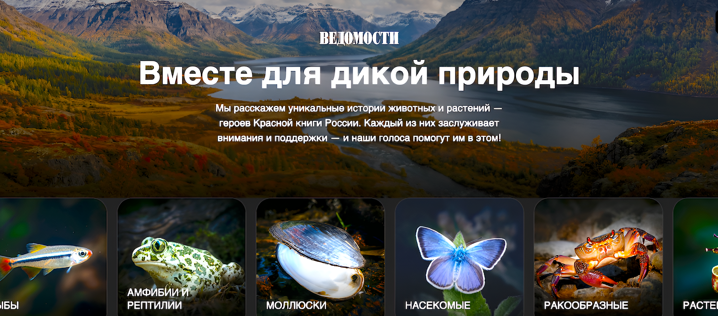 Проект «Вместе для дикой природы» проводит первое всероссийское голосование за выбор 100 наиболее уязвимых животных и растений
