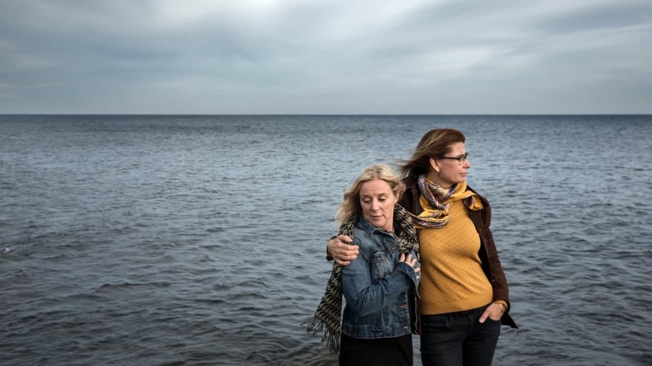 37 лет спустя: режиссер-документалист из Швеции ищет экипаж мурманского сухогруза «Дагестан», который в 1984 году спас ее с подругой в открытом море