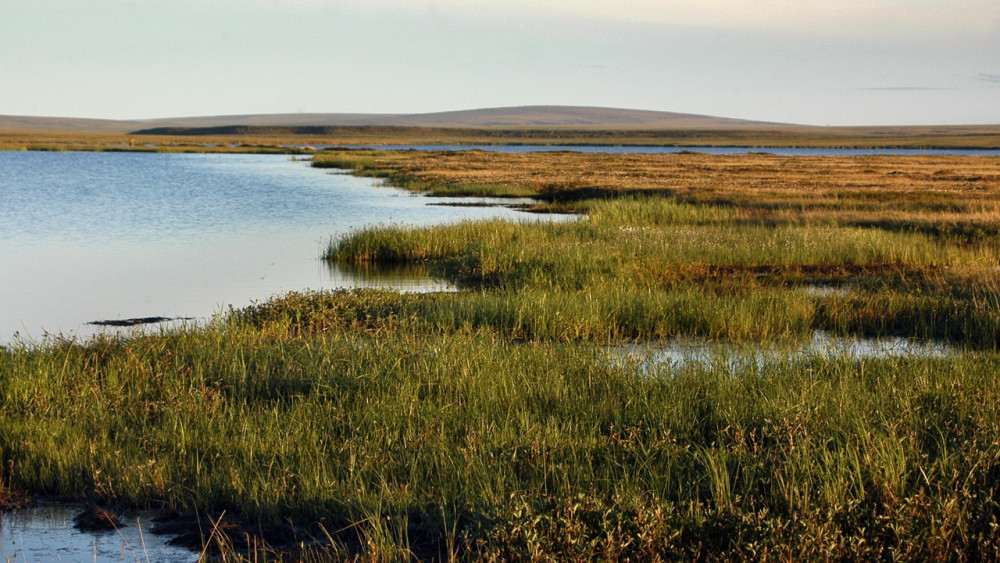Ученые изучили пригодность озер Пуровского района ЯНАО к рыборазведению – для представителей КМНС