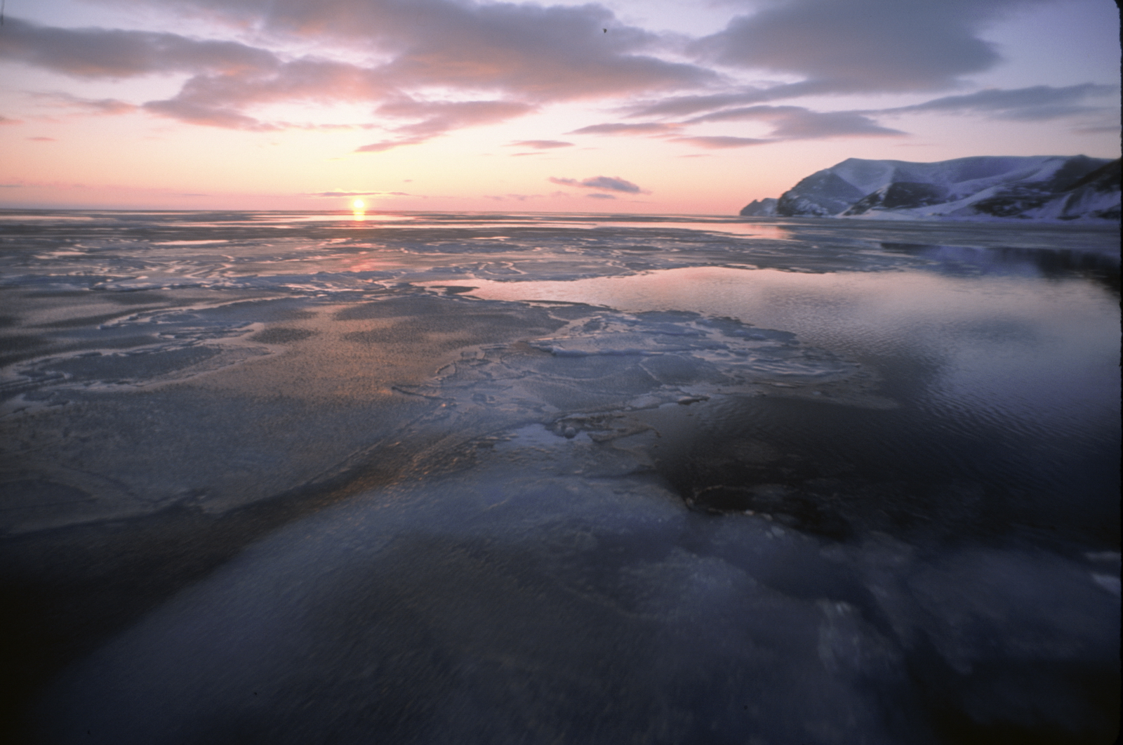 Температурные аномалии донных отложений арктических морей