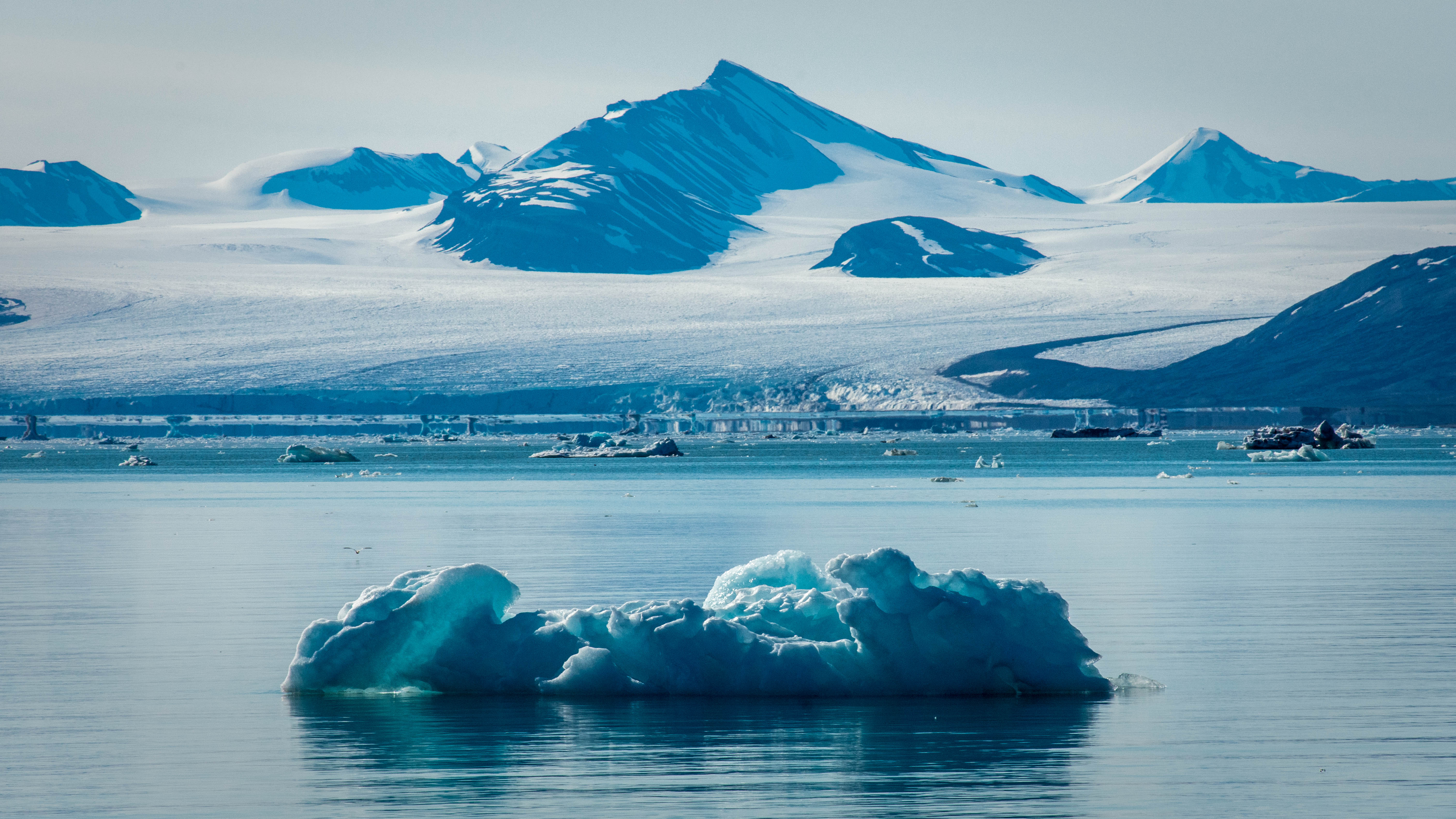 Рассылка «ПОРА в Арктику! GoArctic!» – выпуск от 28 июня 2025 года Рассылка «ПОРА в Арктику! GoArctic!» – выпуск от 28 июня 2025 года