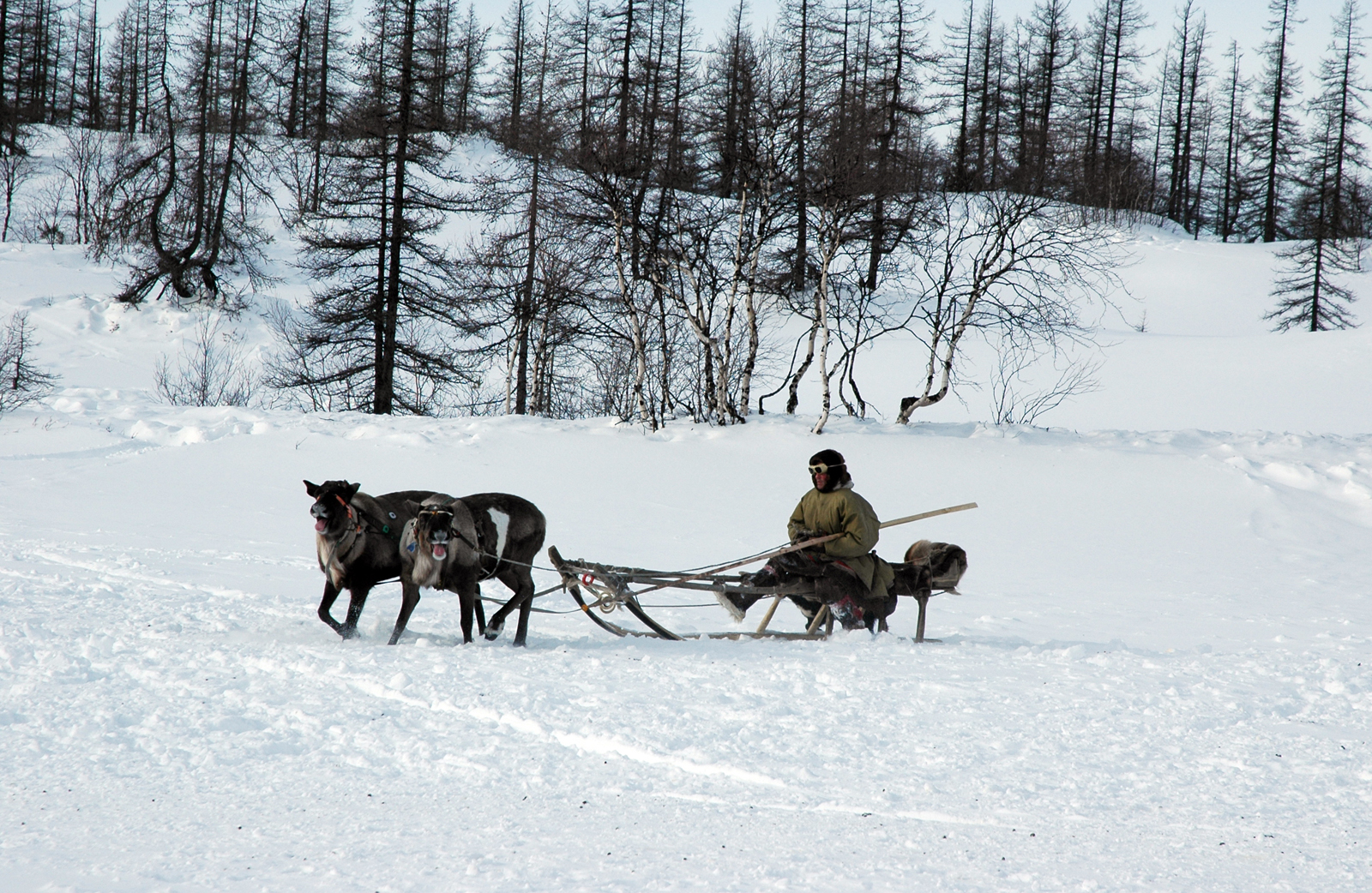 В России создали видеокурс энецкого языка