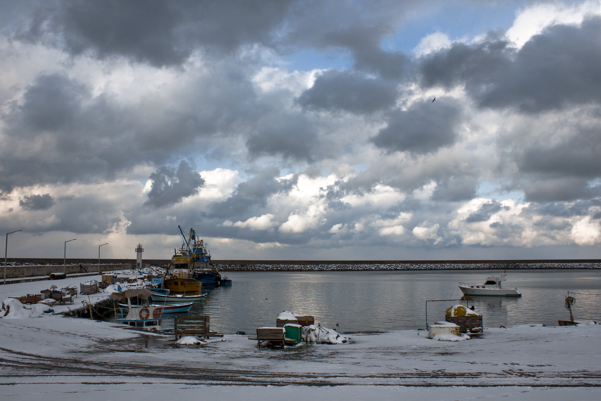 Вылов рыбы в Северном бассейне снизился в 2018 году
