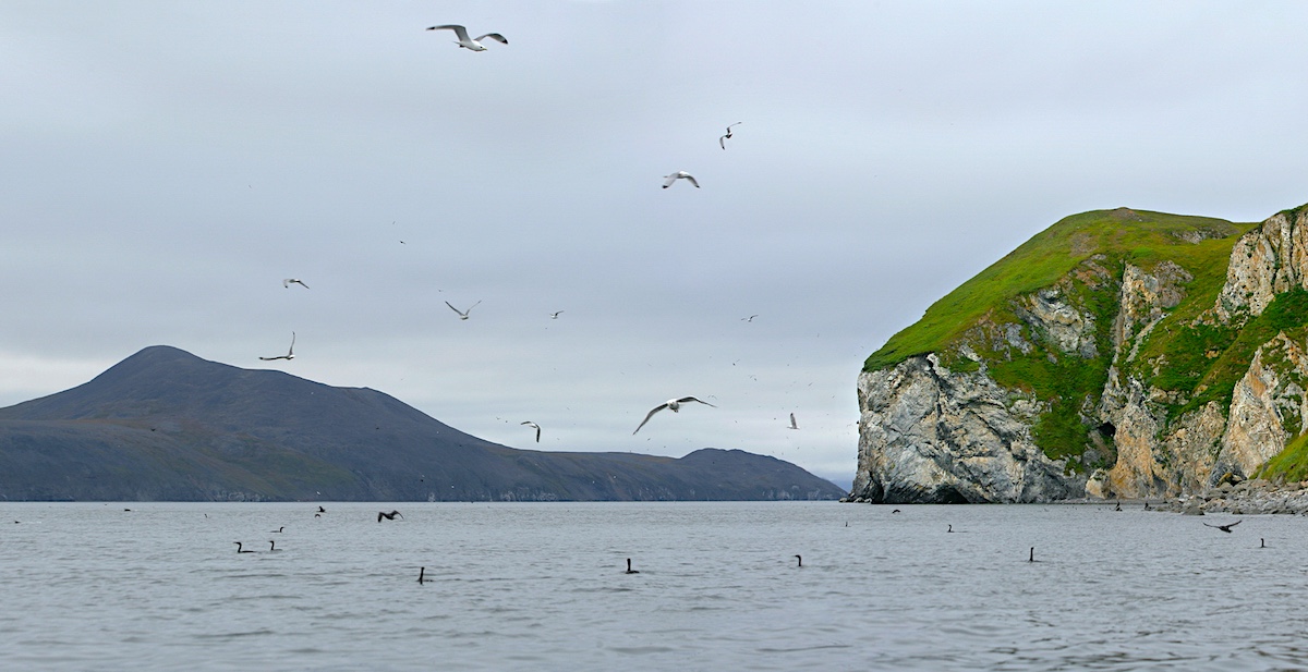 Круизы там, где нет дорог: как «ВодоходЪ» осваивает Арктику, Сибирь и Дальний Восток