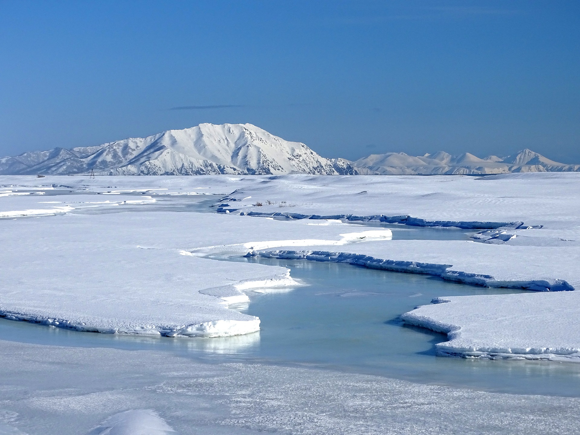 Арктика: новое перспективное направление