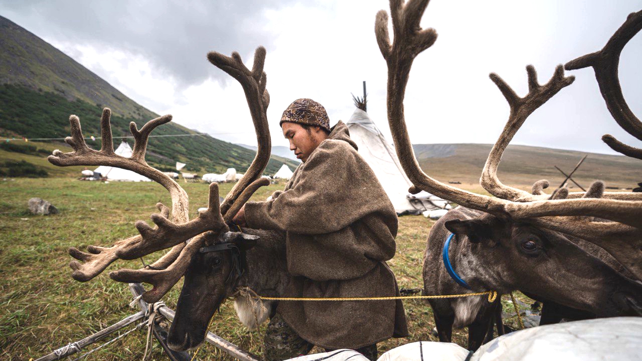 «Дыхание тундры» почувствуют в Ноябрьске