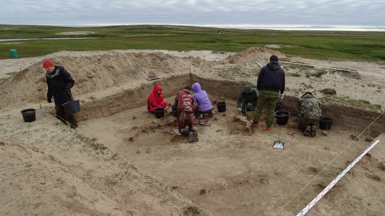 Научный центр изучения Арктики готовится к археологическому полевому сезону и приглашает волонтеров