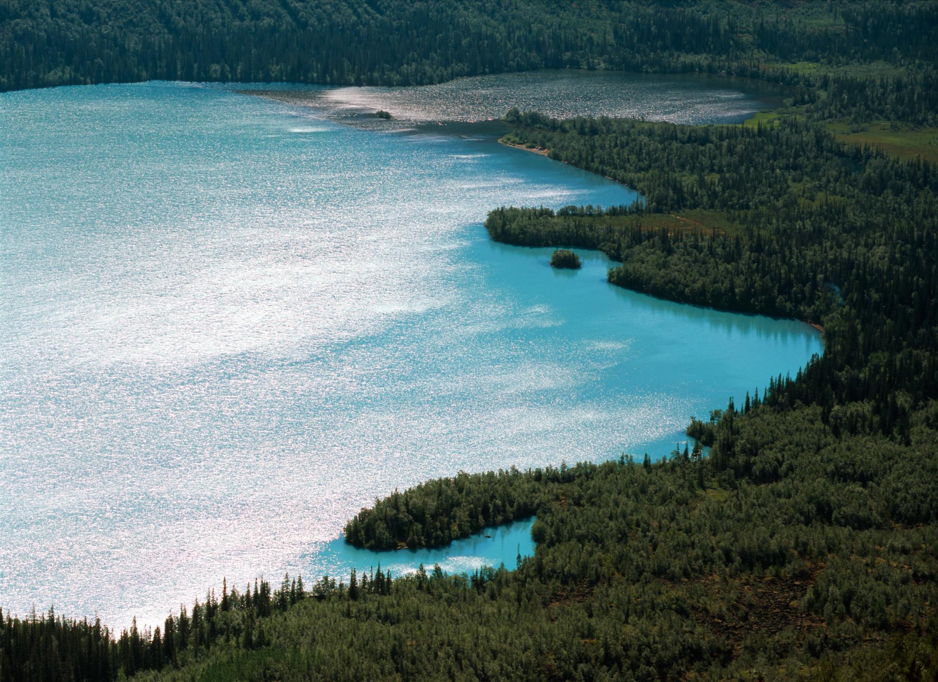 Озера в Якутии сдают аквафермерам по цене от 2 тысяч рублей