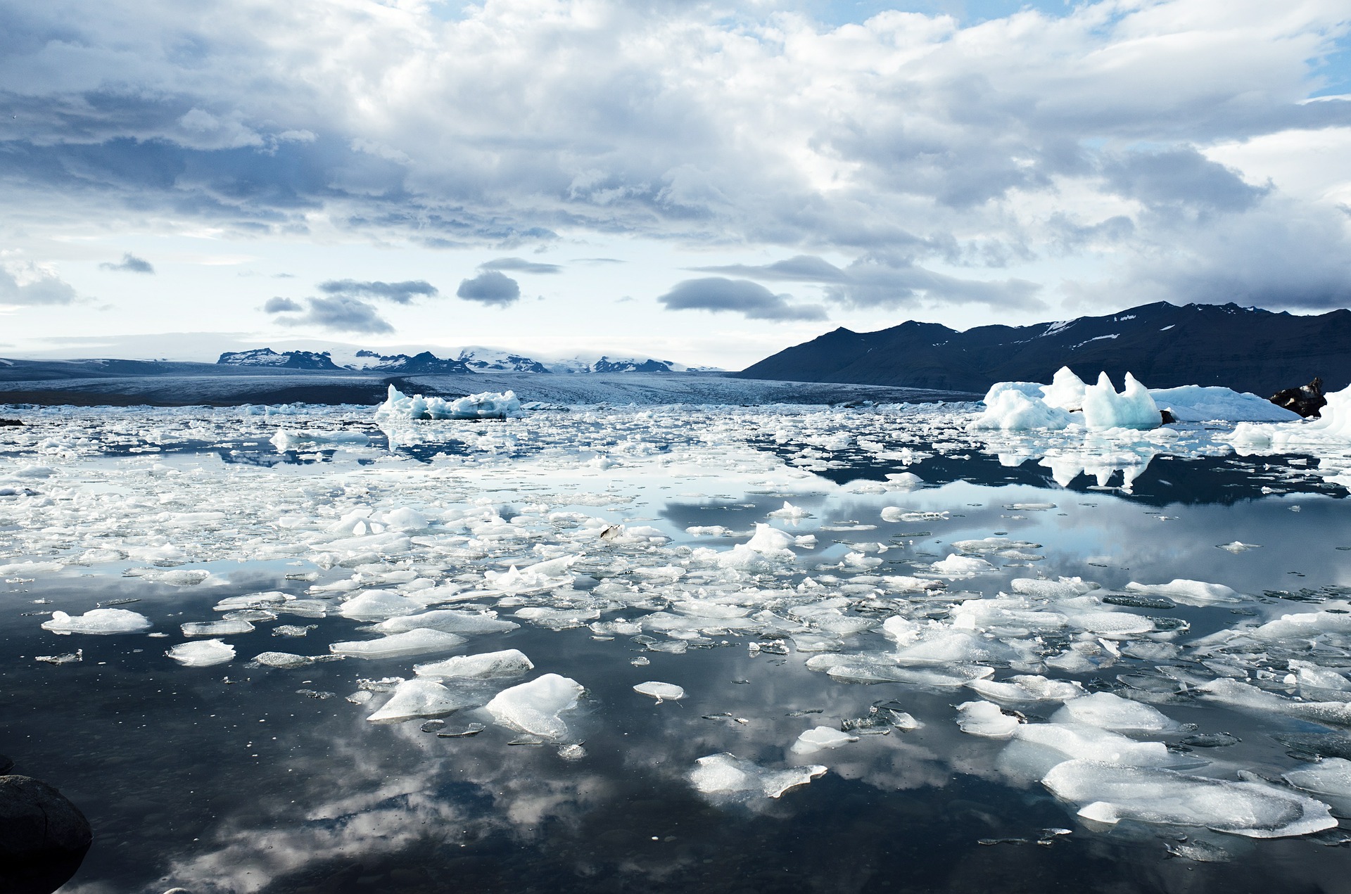 Арктика сегодня: электростанция, ТОСЭР и научный проект