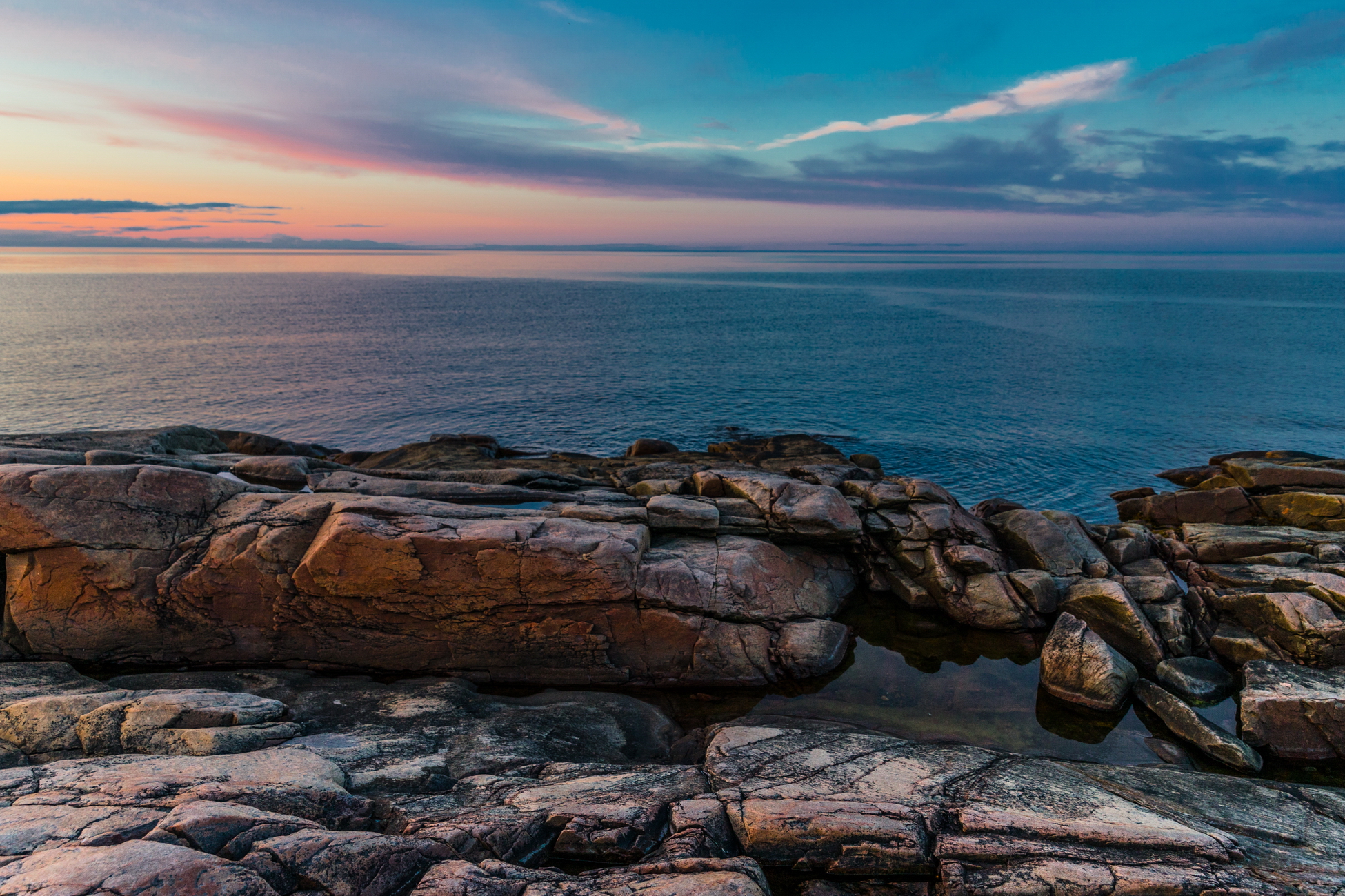 Полярные ихтиологи выпустили книги о рыбах Баренц-региона