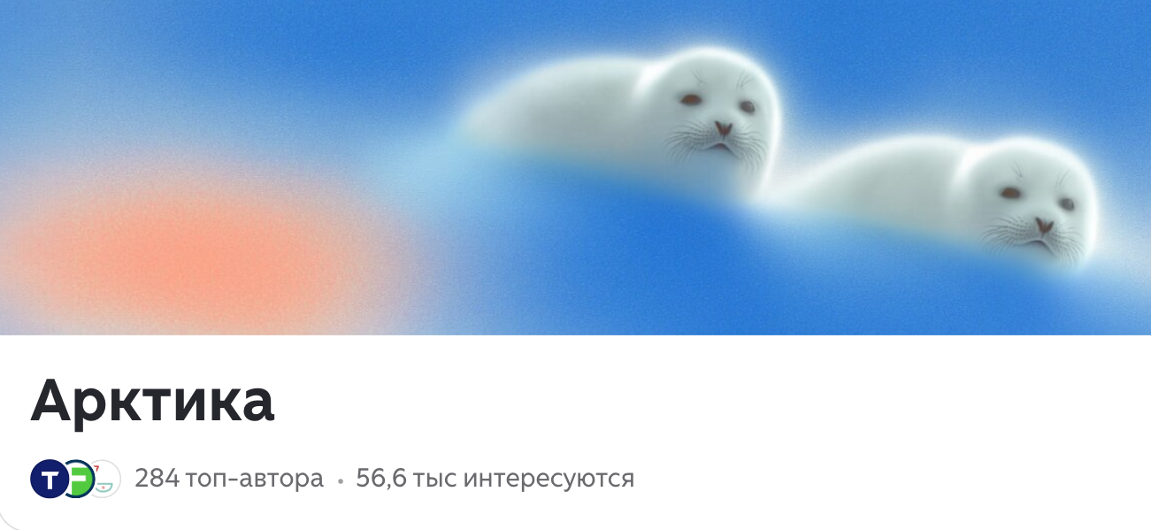 «Дзен» завершил работу над созданием тематического канала об Арктике, созданного при участии GoArctic