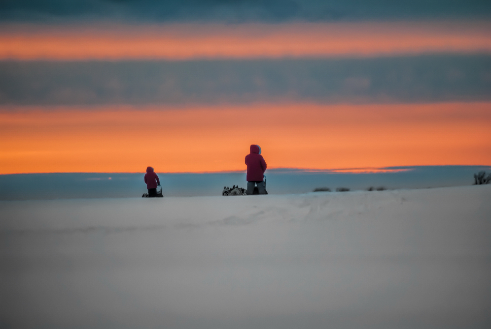 Второй туристский арктический медиаконгресс состоялся на Ямале