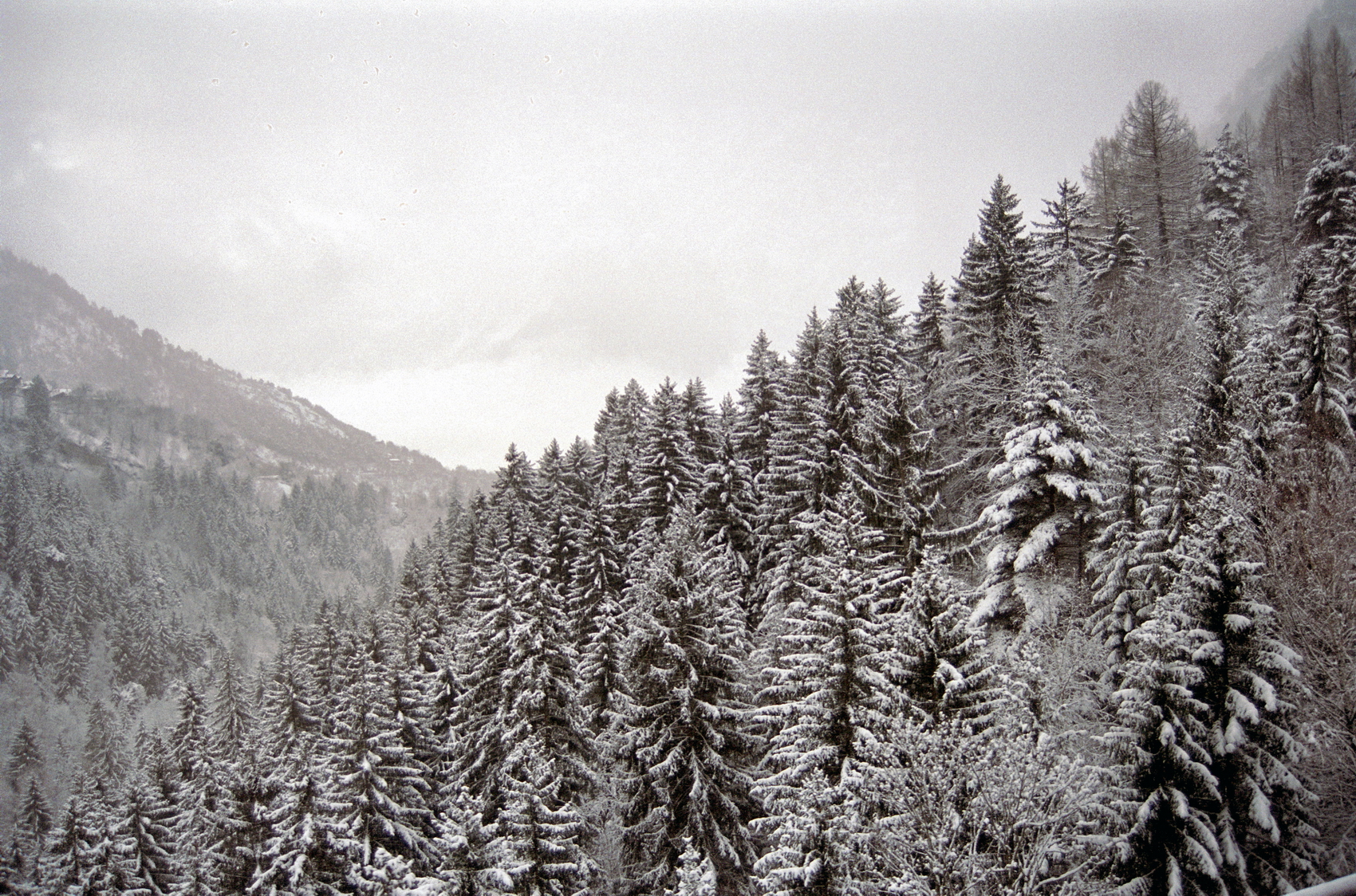 Арктика за неделю: важнейшие темы арктической повестки с 26 по 30 декабря