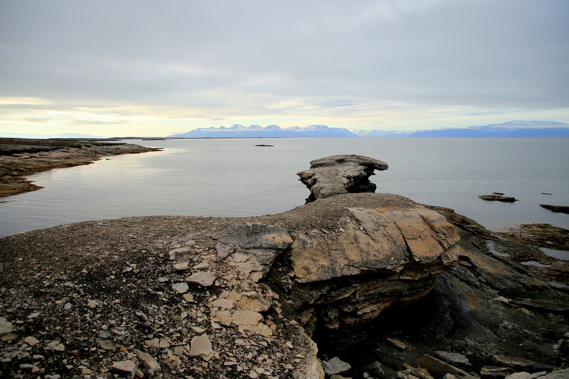 Арктика: история географических открытий, исследования и освоения