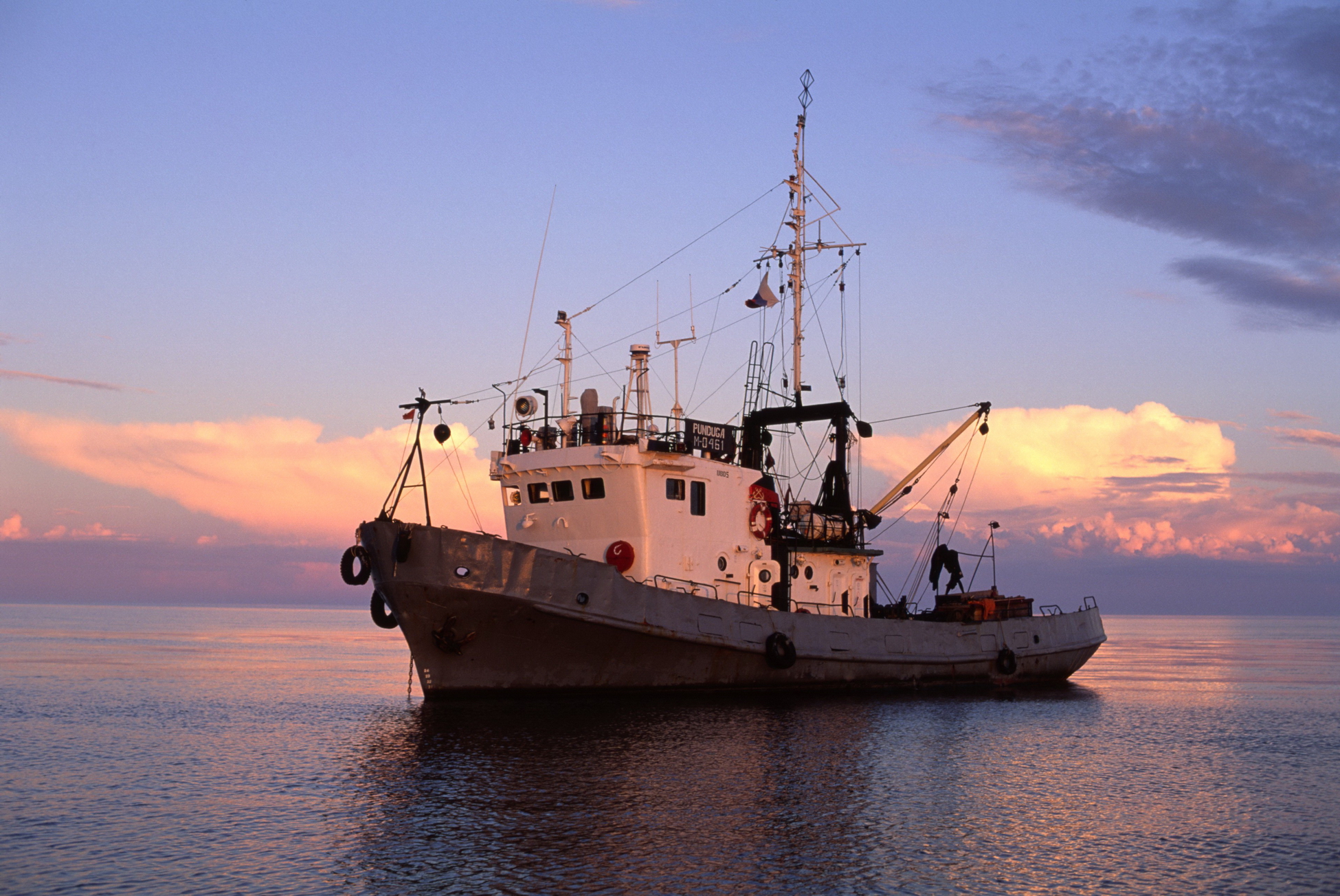 Учёные дали свой прогноз о минтаевой путине в Беринговом море