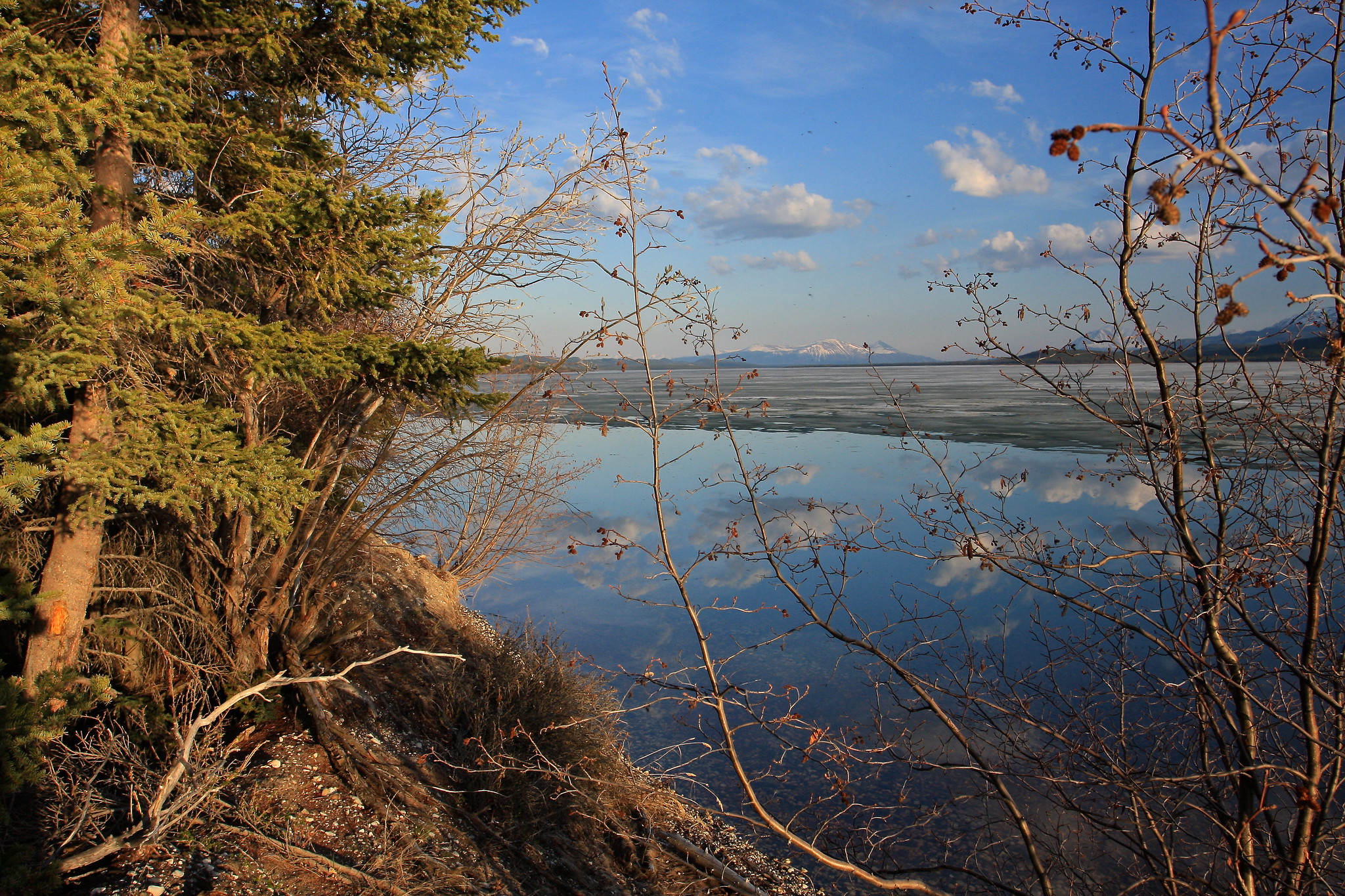 Жителей хижин пытаются удалить из юконской тайги