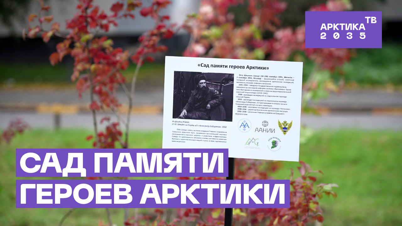 ▶️ В Санкт-Петербурге обустроили сквер в честь Отто Шмидта