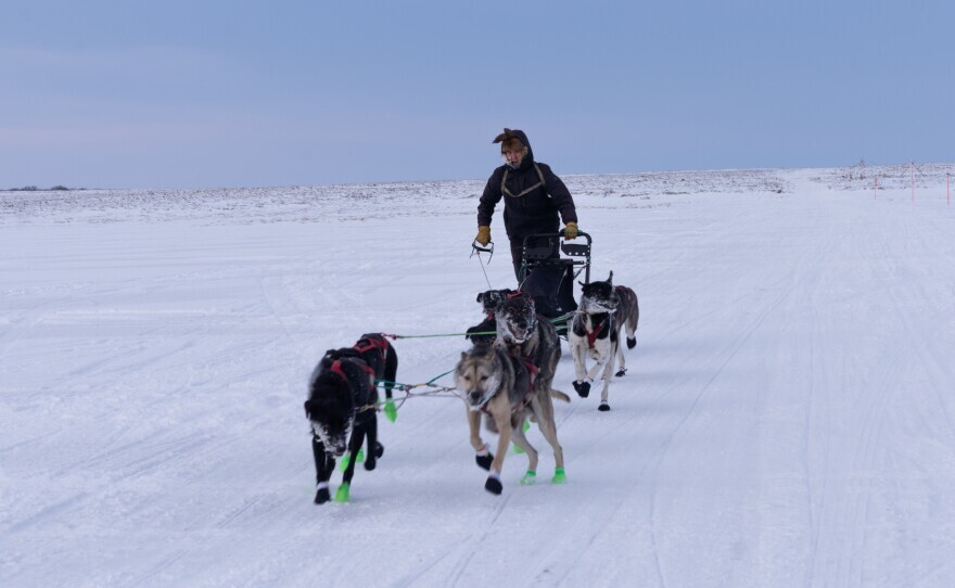 На Аляске открылся сезон гонок на собачьих упряжках